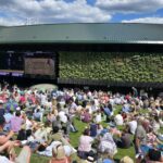 Futbalovysen-wimbledon-kopec-divaci